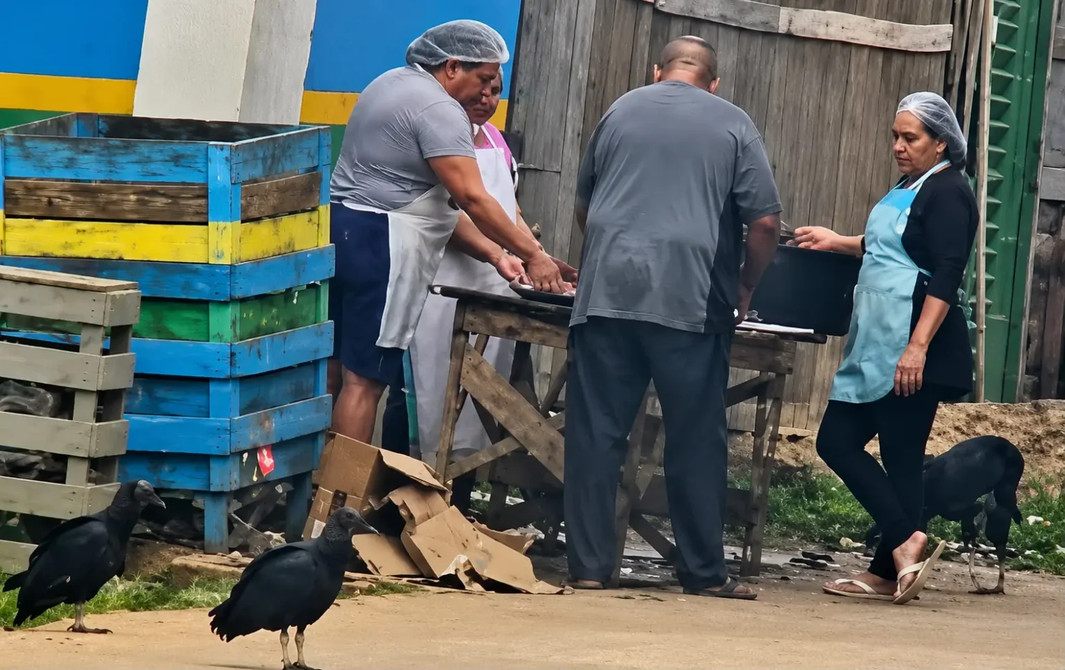 Servidores do prefeito Renato Afonso preparam merenda escolar em Pauini de forma inadequada
