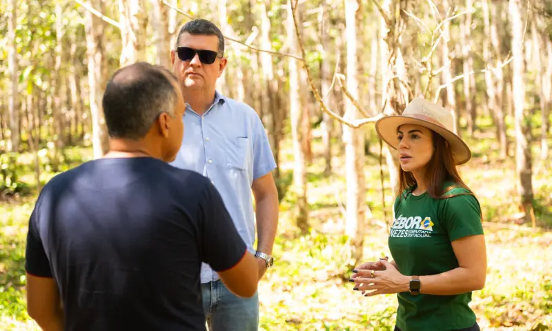 Débora Menezes visita usina de pau-rosa e apoia produtores locais